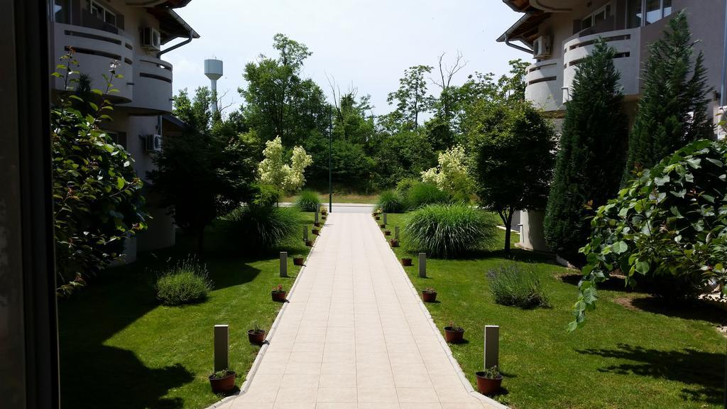 Vila Dincic Doo Veliko Gradište Exteriör bild
