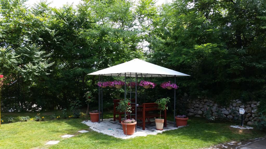 Vila Dincic Doo Veliko Gradište Exteriör bild
