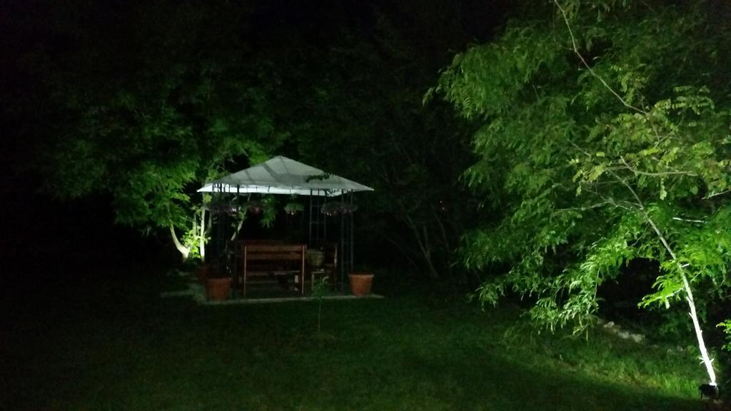 Vila Dincic Doo Veliko Gradište Exteriör bild