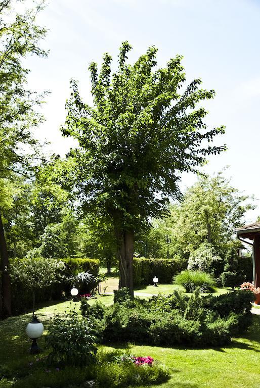 Vila Dincic Doo Hotell Veliko Gradište Exteriör bild