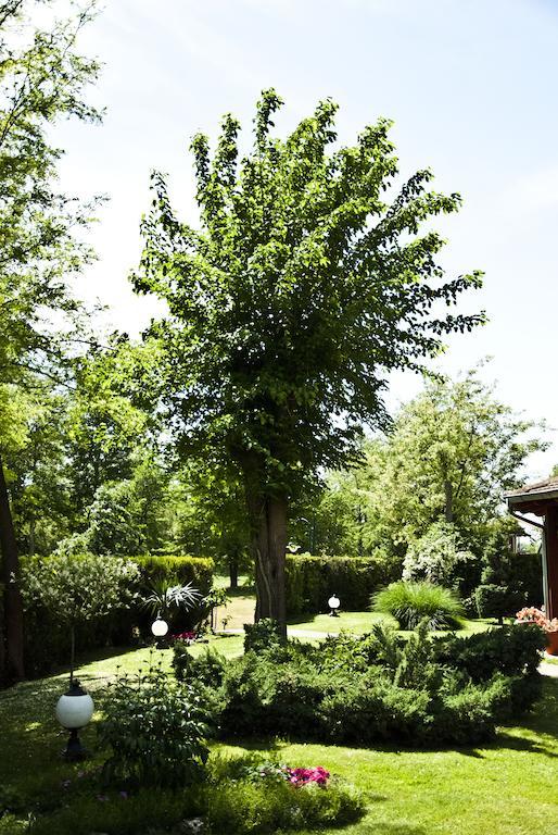 Vila Dincic Doo Veliko Gradište Exteriör bild